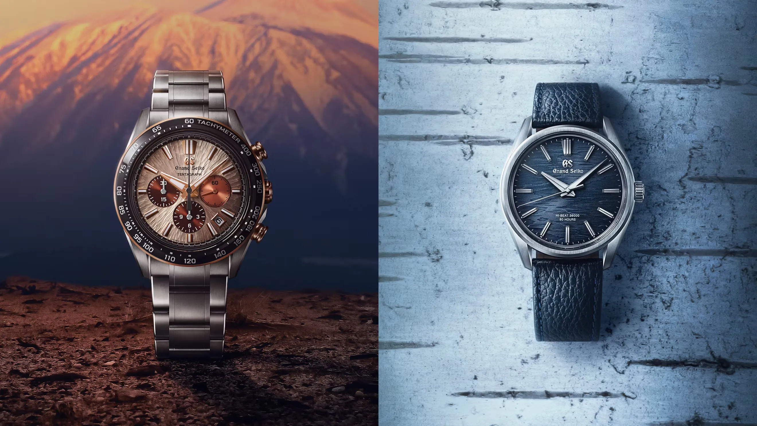 تایم باز | معرفی دو مدل جدید Grand Seiko؛ از Midnight Birch تا Tentagraph Sunrise